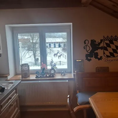 Aussicht Wald (Cham)