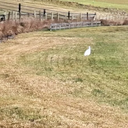 Appartement Aussicht