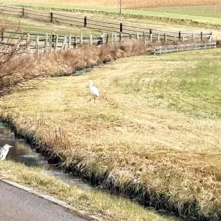Appartement Aussicht Wald (Cham)