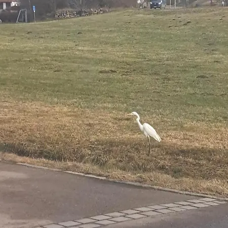 Appartement Aussicht Wald (Cham)