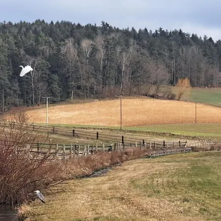 Aussicht Apartment Wald (Cham)