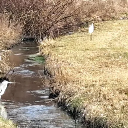 Appartement Aussicht *