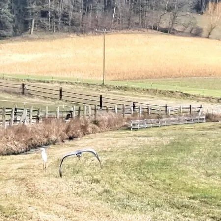 Aussicht Appartement