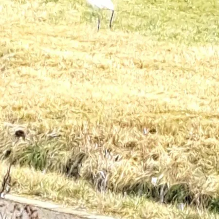 Appartement Aussicht *