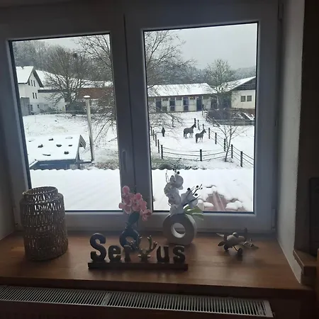 Aussicht Daire *