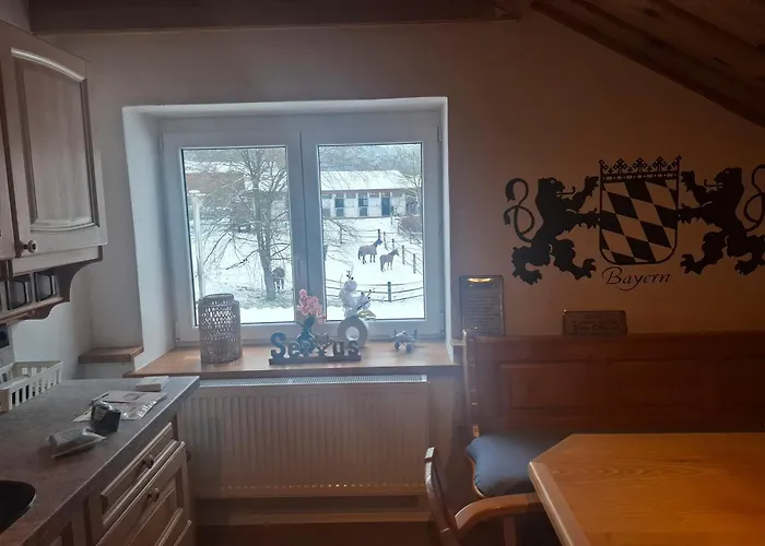 Aussicht Wald (Cham)