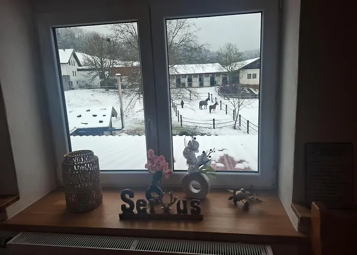 Aussicht Apartment Wald (Cham)