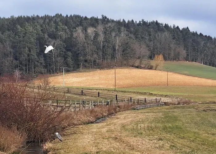 Aussicht Apartment Wald (Cham)